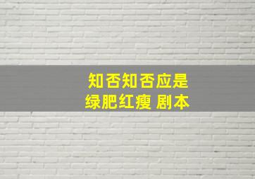 知否知否应是绿肥红瘦 剧本